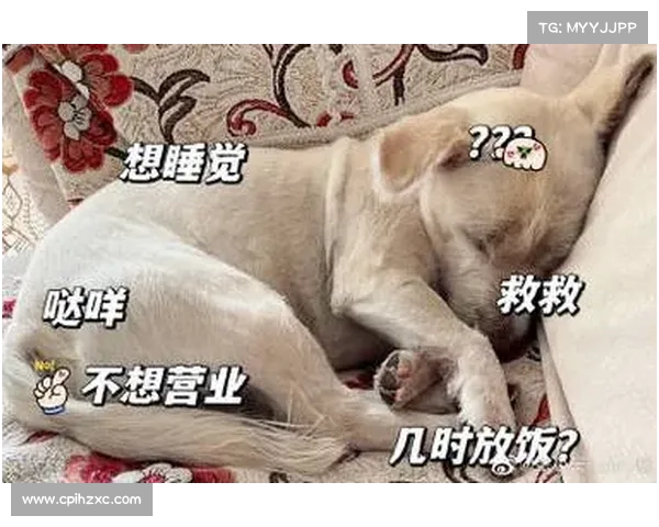 修狗奥运会惊现沉思者！第四选手赛前陷入谜之沉默