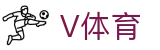V体育 - 全球顶级赛事数智化运营平台